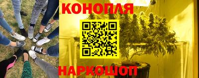 прущие крисы Пушкино