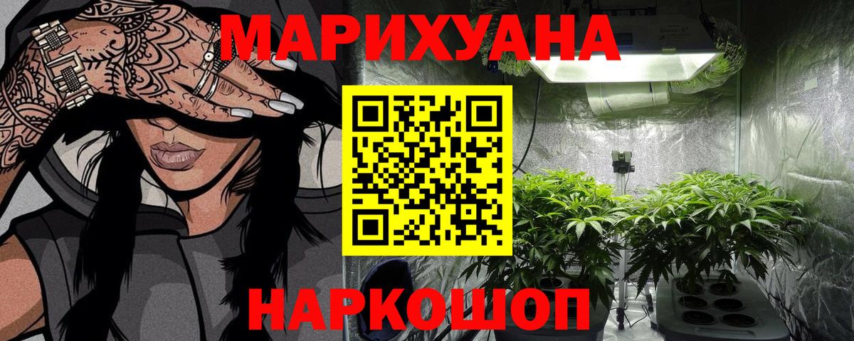 Бошки Шишки семена Саратов
